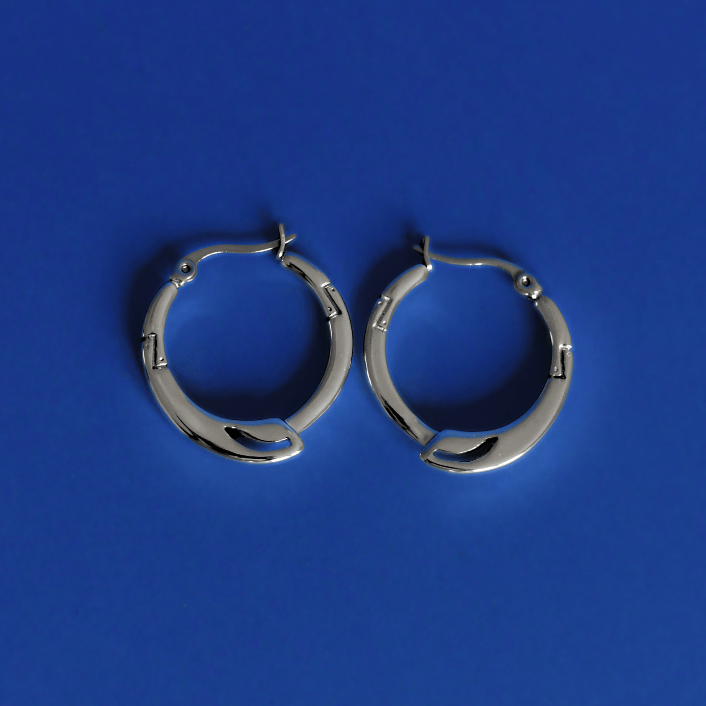TRESSE stainless steel unique earrings in silver - Alogan